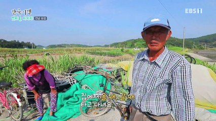 한국기행 - Korea travel_갯마을 차차차 3부- 그대와 함께_#002