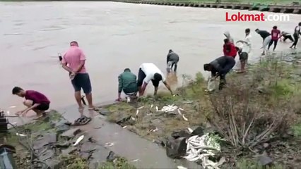 बंधाऱ्यातील मासे हाताने काढले जातात