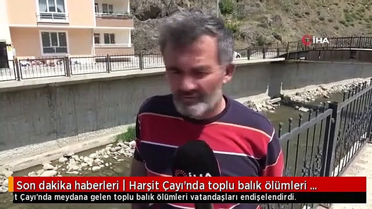 Korkutan görüntü: Balıklar bir bir ölüyor! Kimy...