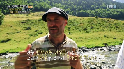 세계테마기행 - 환상의 파노라마- 색다른 낙원, 남부 프랑스_#003
