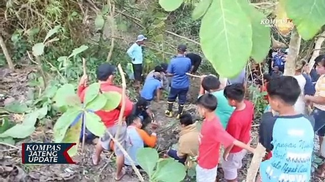 Damkar Blora Berburu Ular, Tangkap 2 Ekor Sanca Kembang