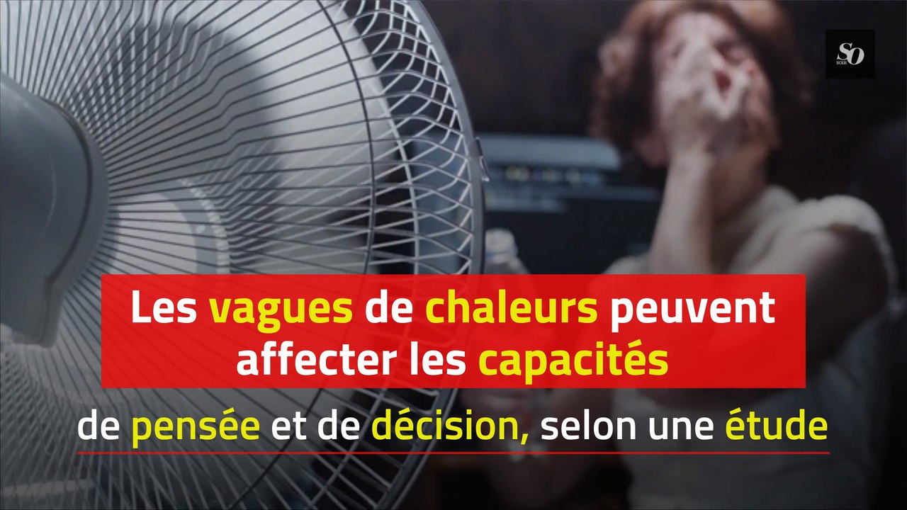 Les vagues de chaleurs peuvent affecter les capacités de pensée et de décision