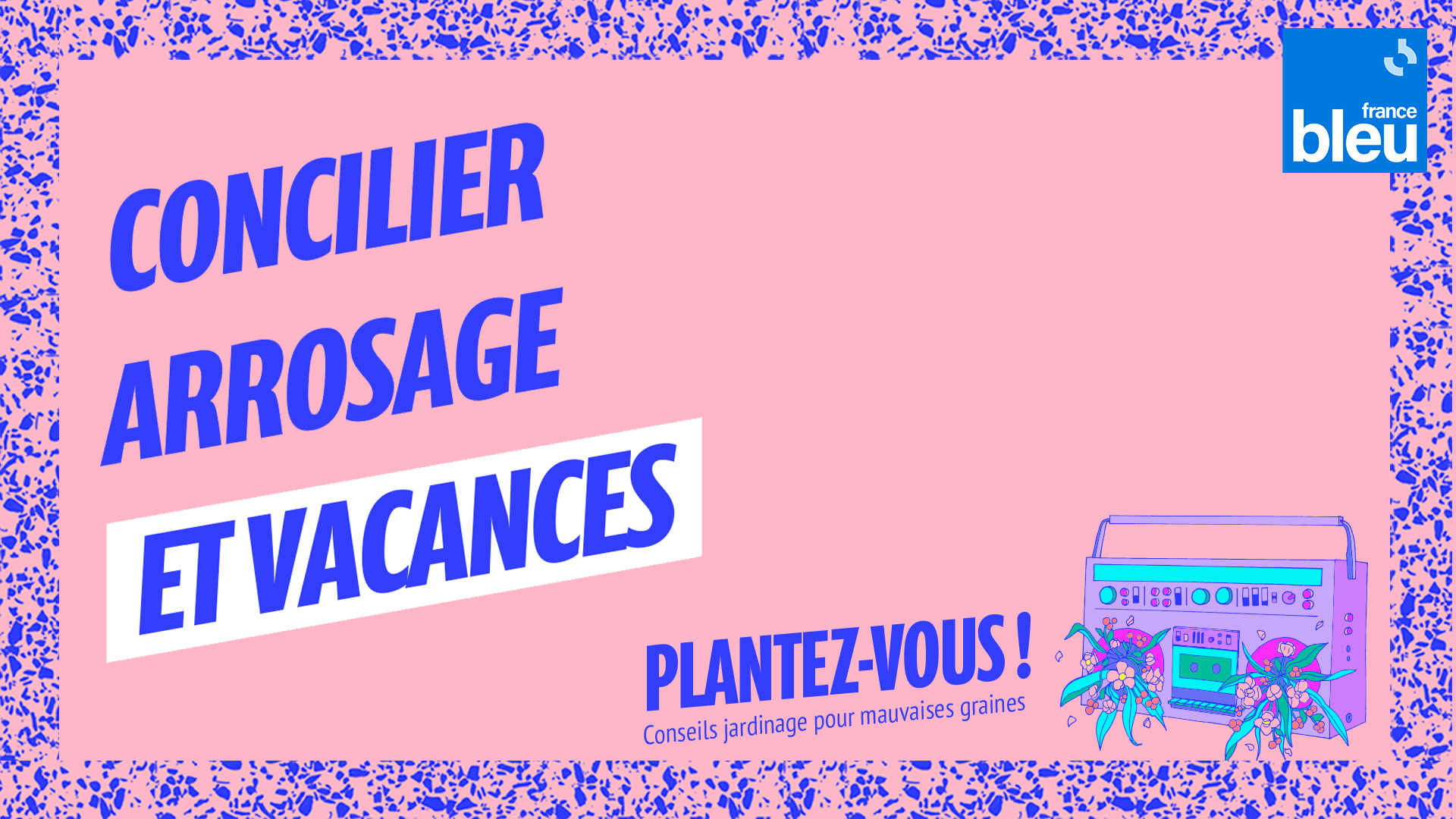 Plantez-vous !