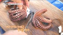 [TASTY] Freshly-Caught Octopus Cooked Octopus 생방송 오늘 저녁 220713