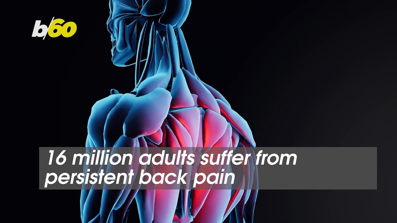 What We Can Do to Combat Common Back Pain