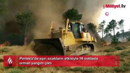 Portekiz’de 14 noktada orman yangını