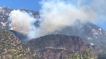 Son dakika haberi | Datça'da çıkan orman yangınına havadan ve karadan müdahale ediliyor