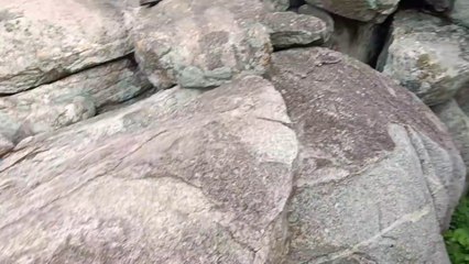 college last day vlog, our degree gang last day BANG