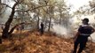 Son dakika! Datça'daki orman yangınına havadan ve karadan müdahale sürüyor