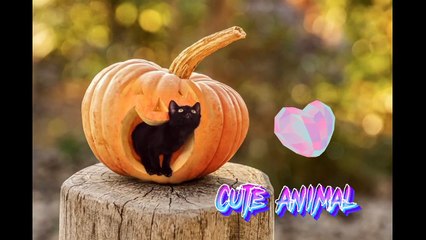 Funny Animal Videos 2022  - Funniest Cats And Dogs Videos Funny Animal Videos 2022