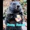 Best Funny Animal Videos 2022    Funniest And Cute Dogs And Cats Videos