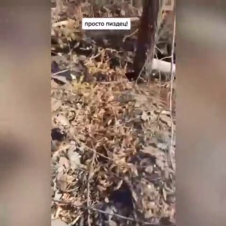 Это все, что осталось от склада селитры и гуманитарки в Алчевске после встречи с HIMARS