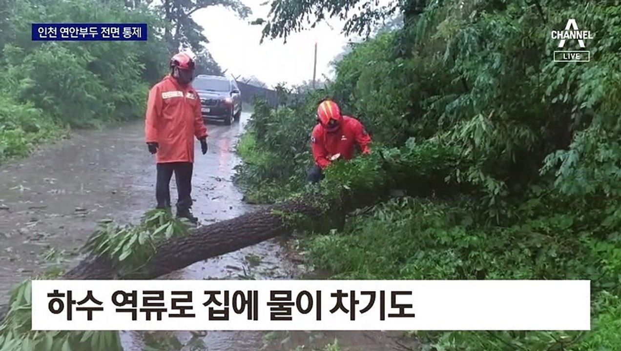 인천 160mm 넘는 폭우…수도권 곳곳 비 피해
