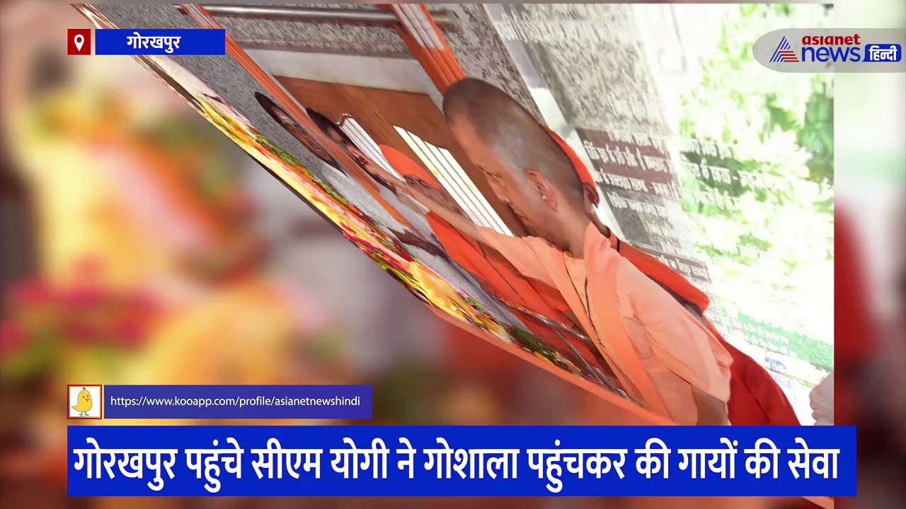 गोशाला में पहुंचे सीएम योगी ने नंदी से पूछा- 'क्यों नाराज हो', सोशल मीडिया पर वायरल हो रहा वीडियो