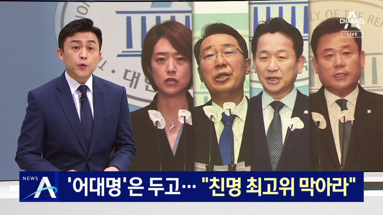 민주 최고위 선거, ‘어대명’은 두고…“친명 최고위 막아라”