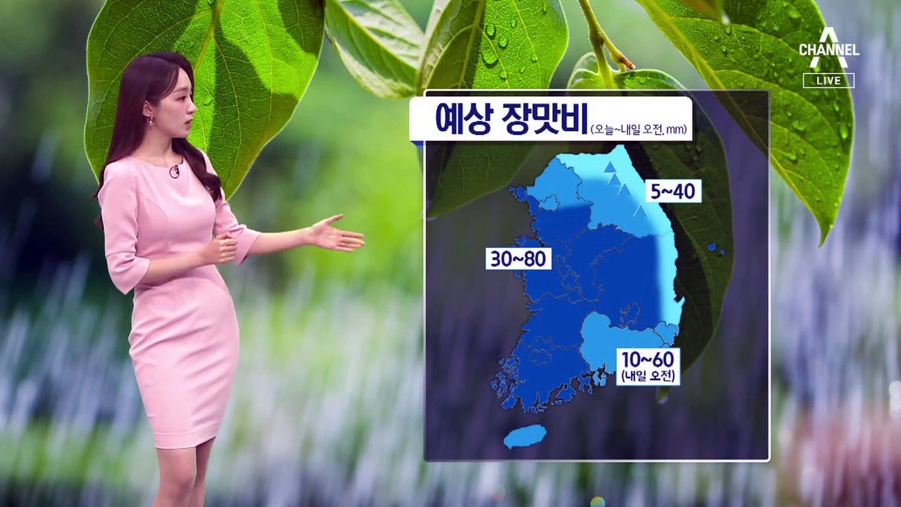 [날씨]오늘밤 중부·호남 집중호우…시간당 30~50mm