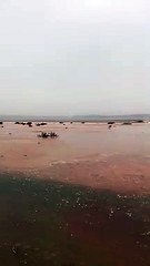 شاهد.. أمطار صباحية تشكّل بحيرات كبيرة في "سلطانة" جنوب وادي الدواسر