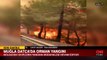 Muğla Datça'daki orman yangınına ekipler müdahale ediyor