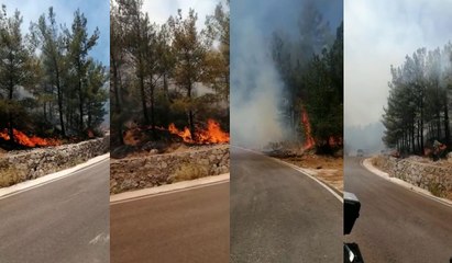 "Burada yangın çok büyük... Yolun sağı ve sol tarafı. her taraf yanıyor şu an"