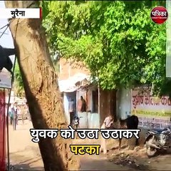 मुरैना : सांड की छेड़ करना शराबी को पड़ा भारी