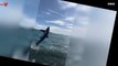 ‘Quite Unusual’ Thresher Shark Sighting Leaves Wildlife Tour Group Stunned