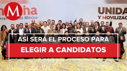 Morenistas en Edomex aceptan encuesta para elegir candidato a gubernatura