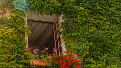 Quelle est l'histoire du village médiéval de Rochefort-en-Terre en Bretagne ?