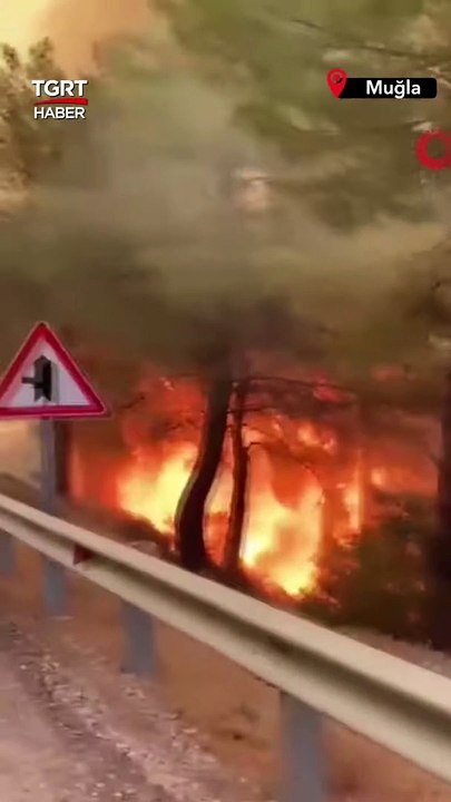 Datça alevlere teslim oldu