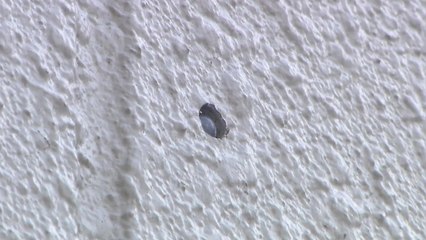 총격 당시 탄흔 "90m 밖에서도 발견"...수제 총기 위력 드러나 / YTN