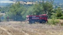 Manisa'da çıkan orman yangınında 2 hektarlık alan zarar gördü