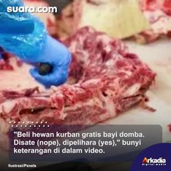 Bikin Warganet Salfok, Orang Ini Malah Dapat Bonus Anak Domba Setelah Kurban
