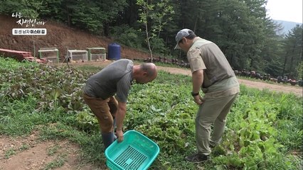 자연인만의 유기농 마트 방문한 두 사람! 자연인의 소소한 행복♡