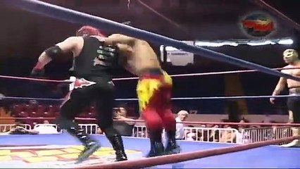 Venum Black & Colibri vs Inferno & Leopardo