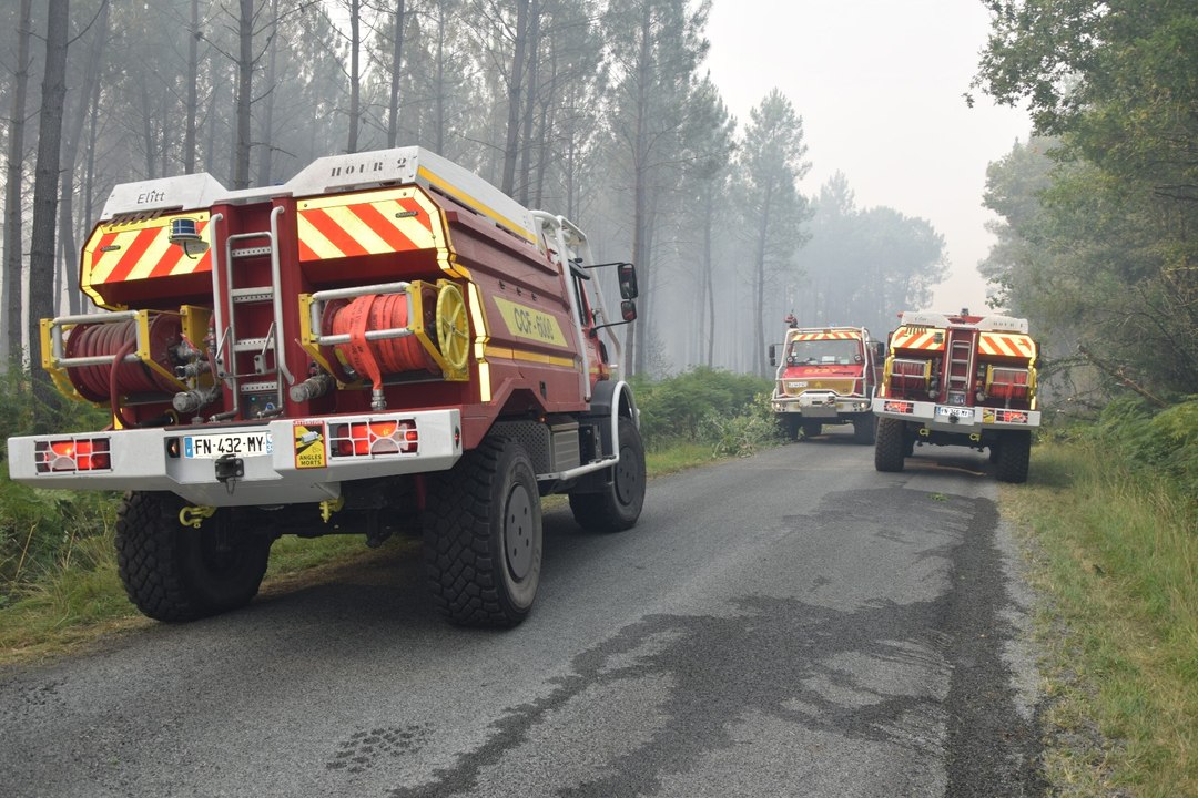 Incendie en Gironde : près de Landiras, les sapeurs-pompiers toujours mobilisés