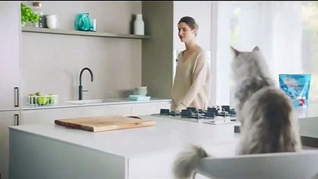 Des centaines de sacs de croquettes pour chat Purina font l'objet d'un rappel en urgence : De nombreux chatons souffrent de grosses diarrhées, de vomissements pouvant mener à la mort