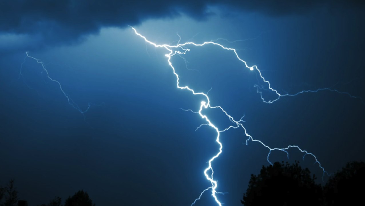 Horror-Blitz tötet Frau und Hunde beim Gassigehen