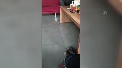 Kütüphanede namaz kılan öğrenci ile görevlilerin tartışması kamerada