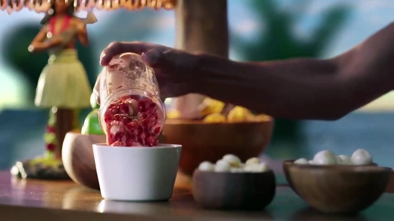 Can you use a magic bullet blender as a food processor? Is the Magic Bullet worth it?