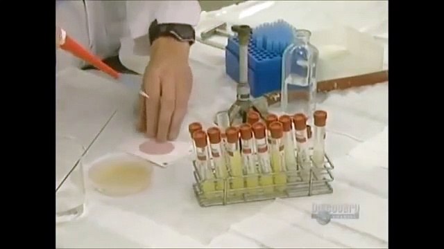 How Its Made Classic - The Mozzarella Cheese