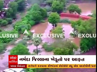 સરકાર સહાય કરે તો સારું નહીંતર…ખેડૂતે ઠાલવી વ્યથા, જુઓ વીડિયોમાં