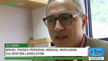 The Supreme Court of Brazil Says Citizens Can Grow Their Own Medical Marijuana at Home