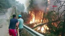 Datça'da orman yangını! Havadan müdahale başladı