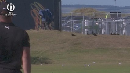 Fore! DeChambeau warns bird after trick-shot