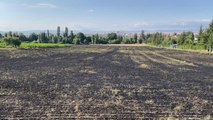 ESKİŞEHİR - 40 dönüm tarım arazisi yangında zarar gördü
