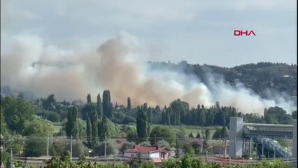 Son dakika haber... 5 DAKİKALIK YANGINDA, 40 DÖNÜM ARPA TARLASI KÜL OLDU