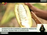 Ciudadanos opinan sobre la diversificación económica y de la exportación de productos de calidad