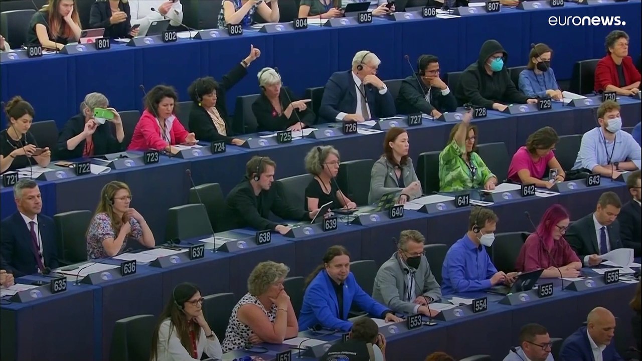 Wien bringt Brüssel wegen 'Greenwashing' vor den Kadi