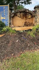 Large Honey Bee Removal in a Sign