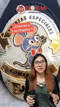 24 Horas Detenidos en Topilejo ¿parte de «los Chapitos»? Esto es lo que se sabe