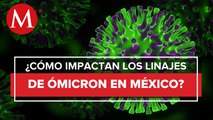 OPS: Los nuevos linajes de Ómicron elevan la mortalidad en México
